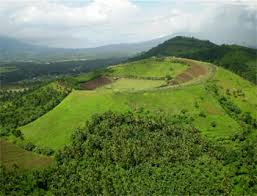 Its in Ligao City!